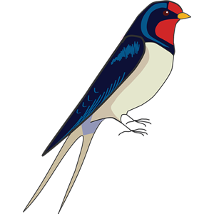 Swallow PNG-67359